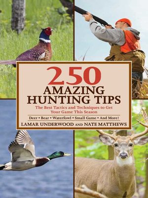 cover image of 250 Amazing Hunting Tips: the Best Tactics and Techniques to Get Your Game This Season